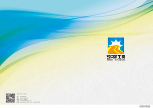 網(wǎng)絡(luò)技術(shù)服務(wù)中的VI與企業(yè)形象設(shè)計理論